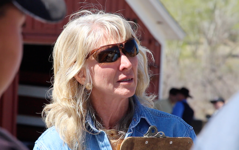 Jeanne Springer